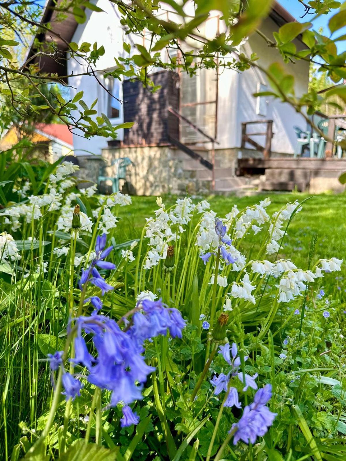 Chata V Beskydech Trojanovice Exterior foto